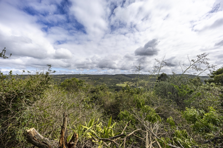 3 Bedroom Property for Sale in Summerpride Eastern Cape